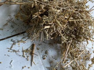 Venderé hierba de ajenjo (Absinthii herba), en grandes cantidades