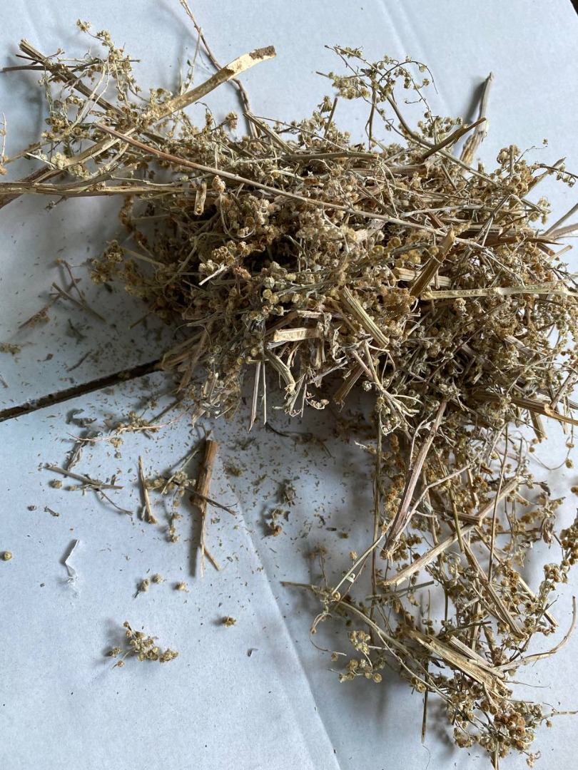 Venderé hierba de ajenjo (Absinthii herba), en grandes cantidades de un almacén en Lublin