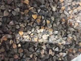 Nuestra empresa SEEDMARKET LLC, con sede en Moscú, Rusia,