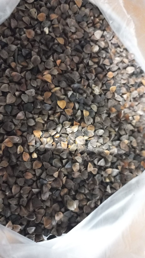 Nuestra empresa SEEDMARKET LLC, con sede en Moscú, Rusia, se dedica al comercio mayorista de cereales, legumbres y semillas oleaginosas en el país y en el