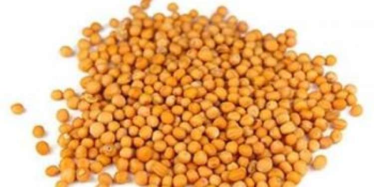 Nuestra empresa SEEDMARKET LLC, ubicada en Moscú, Rusia, es un comerciante mayorista de granos, legumbres y oleaginosas tanto a nivel local como en el