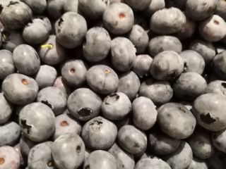 Blueberry blueberry bluecrop 15+. Envasado en cestas de 3