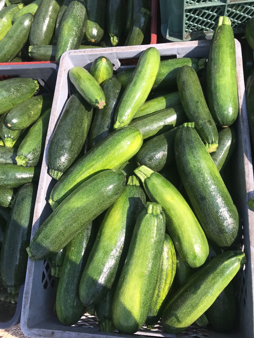 Hola, vendo calabacines, variedad de corteza y acesta, tengo unos 400 kilos todos los días