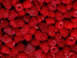 ¡Buenos días! Vendemos al por mayor cerezas, albaricoques, nectarinas,