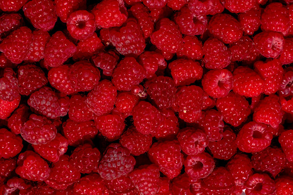 ¡Buenos días! Vendemos al por mayor cerezas, albaricoques, nectarinas, arándanos, grosellas, uvas, melocotones, frambuesas y fresas de Uzbekistán de alta