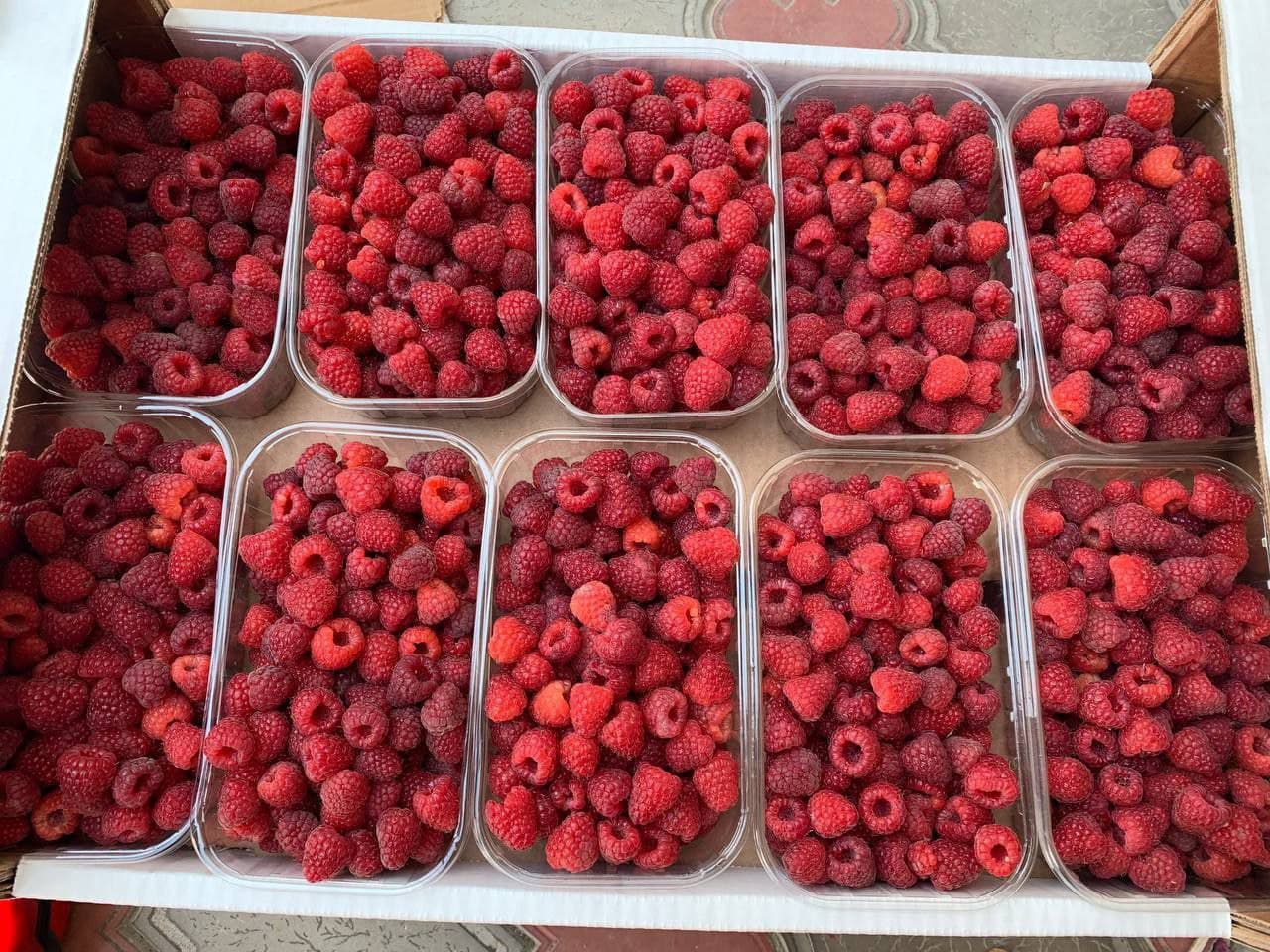 ¡Buenos días! Vendemos frambuesas de calidad al por mayor de Uzbekistán