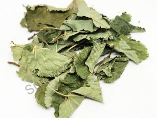 Venta de hoja de lipa (Tilia cordata folium), grandes