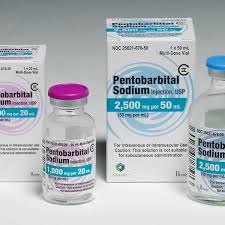 ¿Quieres comprar Nembutal online? DIGNITY HEALTHCARE GIVERS (DIGNIVERS) es el proveedor líder de pentobarbital nembutal de alta calidad