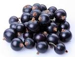 Grosella negra certificada para jugos o detalle