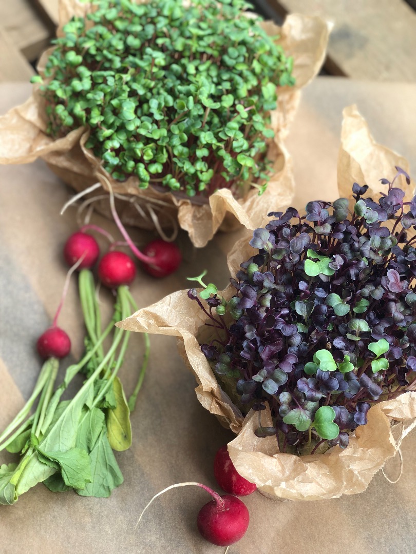 Hola, vendo microgreen