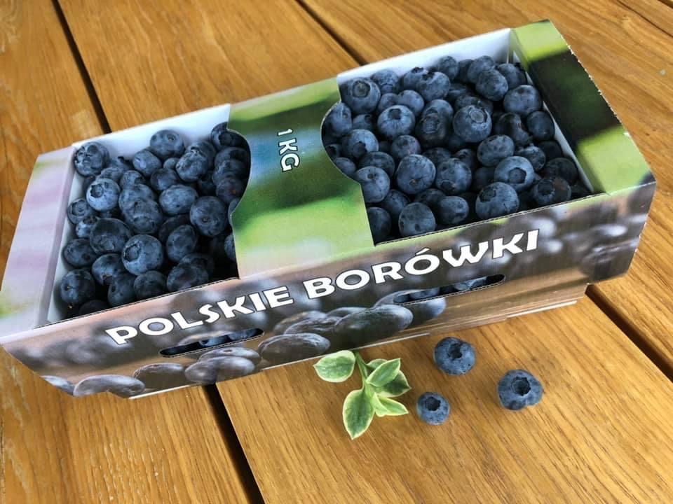 Venderé arándanos de mi propio cultivo