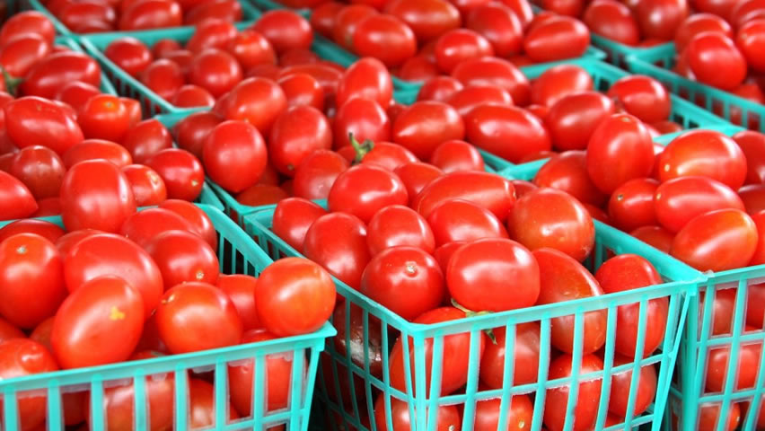 TOMATES FRESCOS whatsap; correo electrónico; ( ) Especificaciones Sin grietas, sin picaduras de insectos, maduras, modestas, dulces y agrias, color rojo