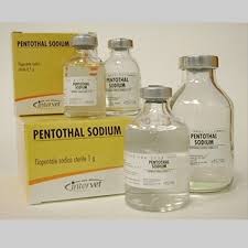Compre nembutal pentobarbital sódico de un vendedor legítimo sin receta