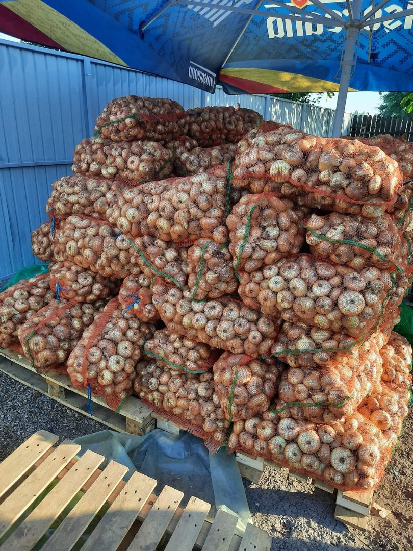 Vendo cebollas rumanas al por mayor