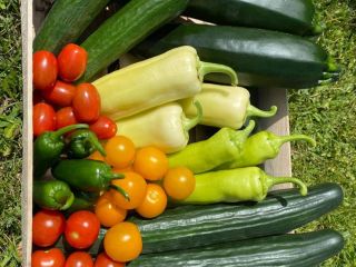 Estoy buscando grandes lotes de verduras y frutas durante