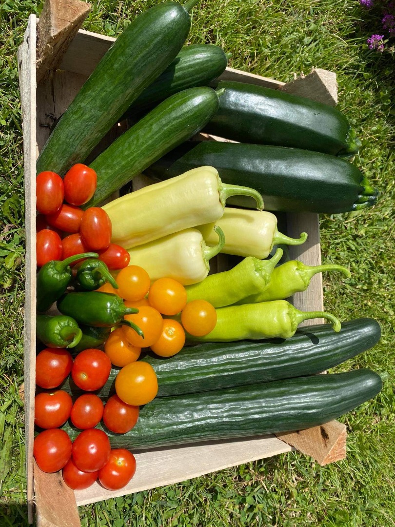 Estoy buscando grandes lotes de verduras y frutas durante todo el año