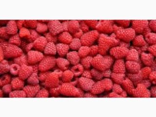 Vendemos frambuesas congeladas y las exportamos a Polonia desde