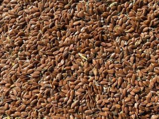 Humedad - 8% Mezcla total de malezas y aceites