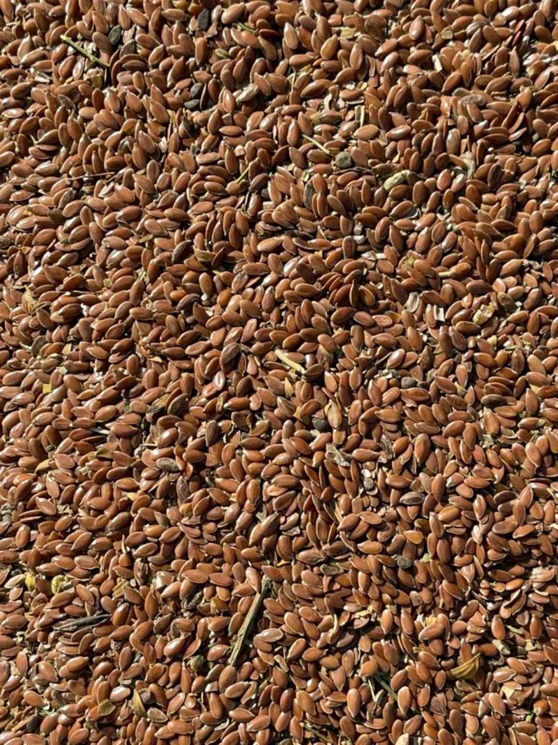 Humedad - 8% Mezcla total de malezas y aceites - hasta 6% Pureza en total - 96%