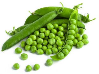 Frijoles mungo verde de primera calidad / frijoles guisantes