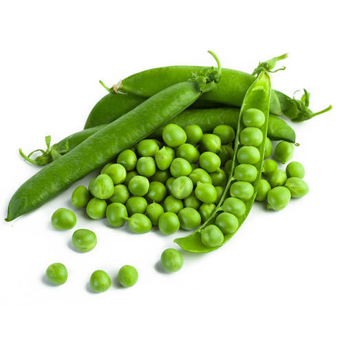 Frijoles mungo verde de primera calidad / frijoles guisantes verdes congelados