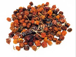 Venderé fruta Rowan (Sorbus aucuparia fructus), grandes cantidades de