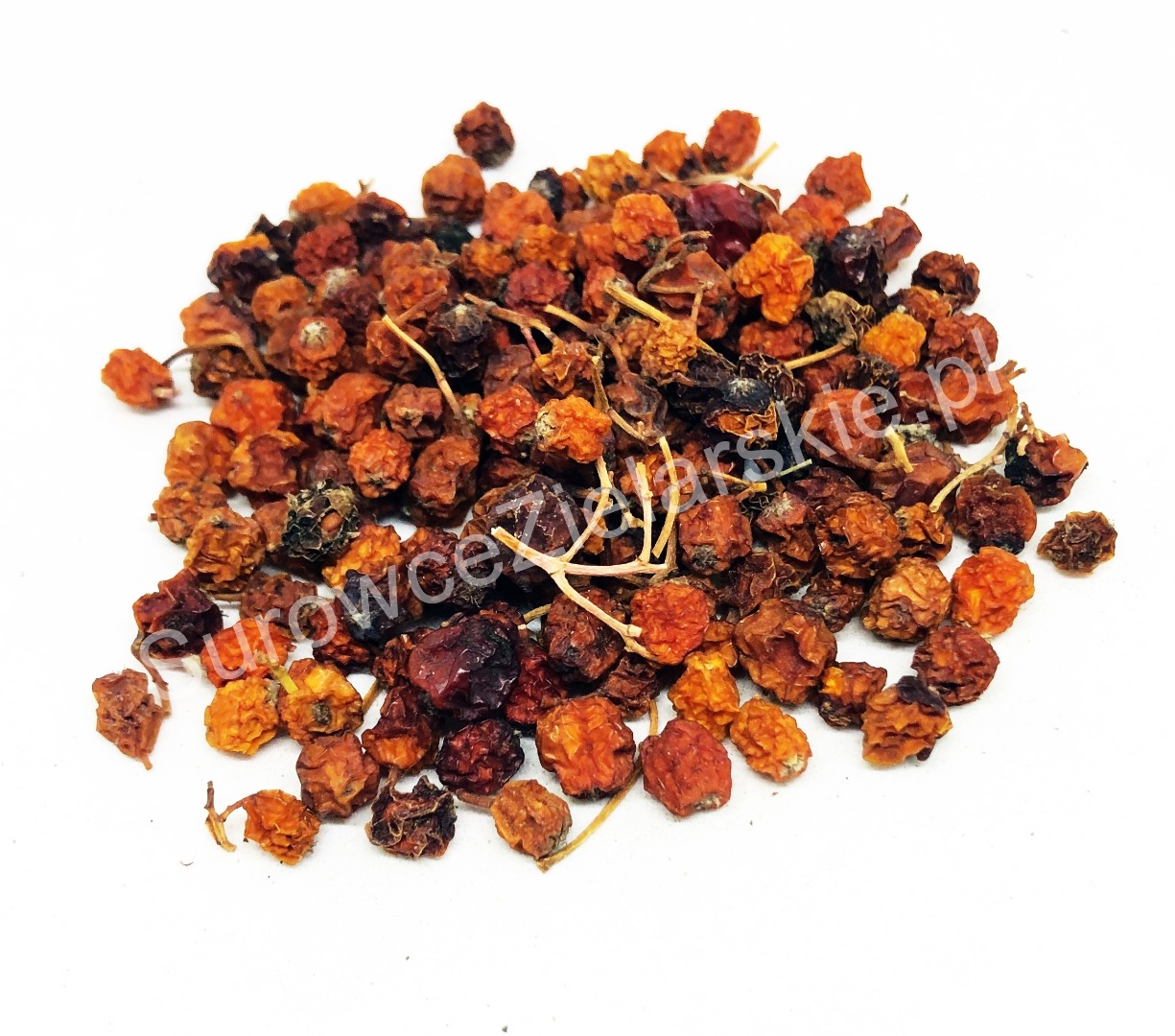 Venderé fruta Rowan (Sorbus aucuparia fructus), grandes cantidades de un almacén en Lublin
