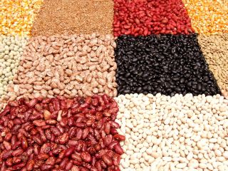 Frijoles de los campos de Ucrania Ofrecemos comprar frijoles
