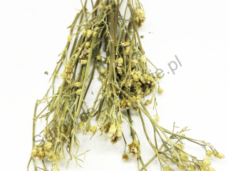 Flor de milenrama (Millefolii flos) y hierba de milenrama