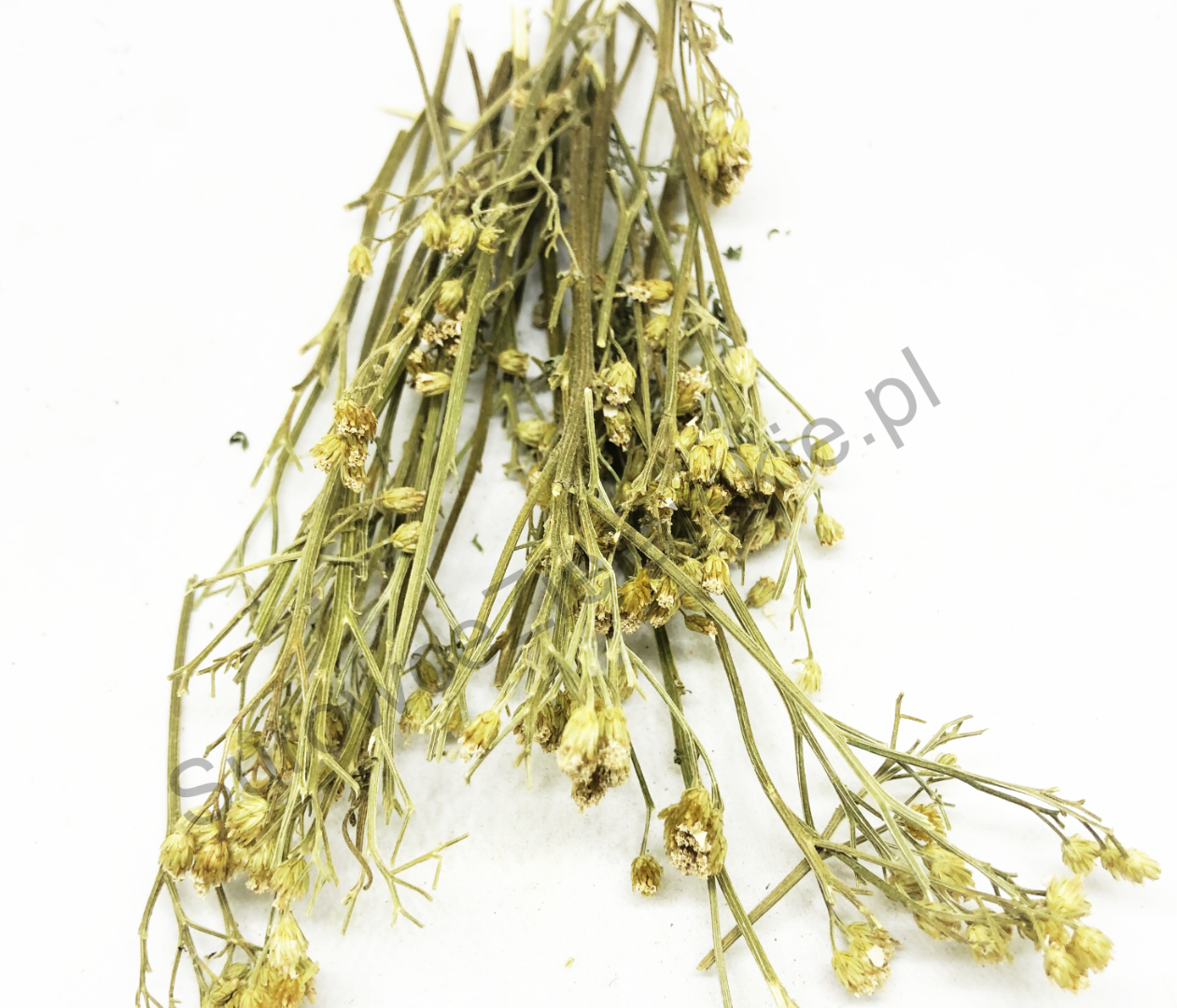 Flor de milenrama (Millefolii flos) y hierba de milenrama (Millefolii herba) a la venta, grandes cantidades de un almacén en Lublin