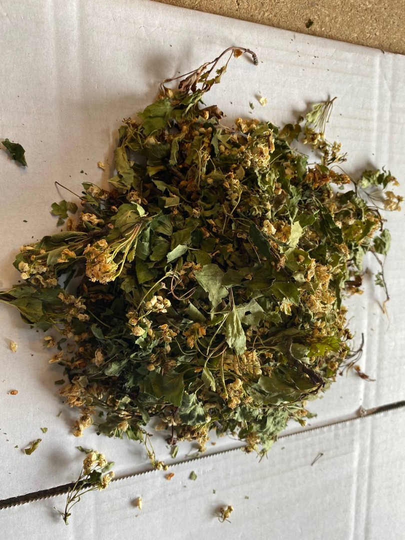 Venderé una flor con una hoja (Crataegi flos), grandes cantidades de un almacén en Lublin
