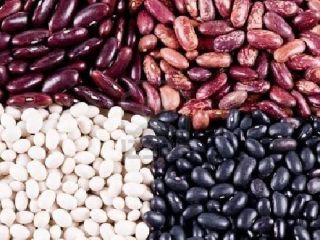 Venta de frijoles al por mayor. Producción de frijoles