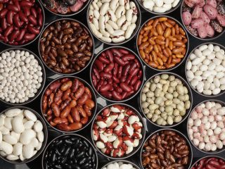 La empresa ucraniana "Bins Naturprodukt" se dedica a la