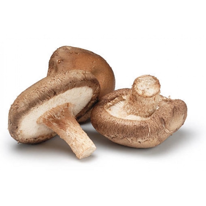 Visite nuestro sitio web Precio al por mayor Hongos morillas silvestres secos Morchella Esculenta Las morillas son hongos silvestres delicados apreciados por