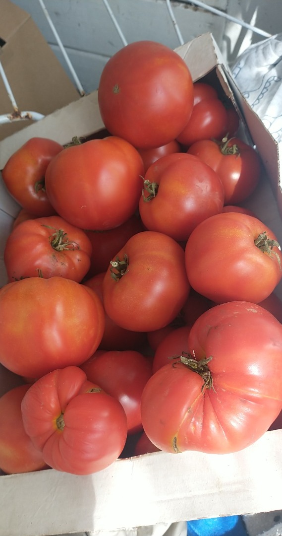 Te invito a comprar tomate molido, no rociado