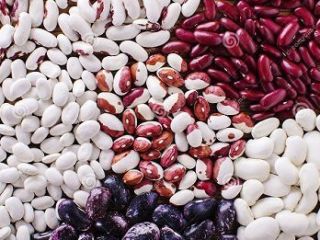 Proponemos comprar frijoles a granel de la compañía Bins