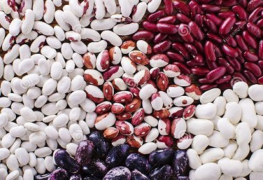 Venta de judías, nueva cosecha Ofrecemos comprar judías a granel de la empresa Bins Naturprodukt (Ucrania)