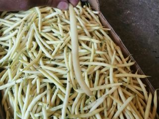 Frijoles ileana