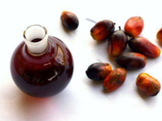 Aceite de palma fresco de origen orgánico y obtenido
