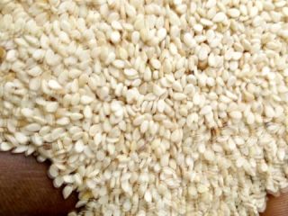 Semillas de sésamo blanco