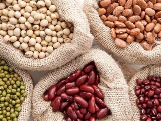 Venta de frijoles de alta calidad Vendo frijoles de