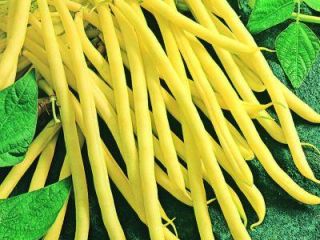 Hola, tenemos Judías verdes orgánicas a la venta de