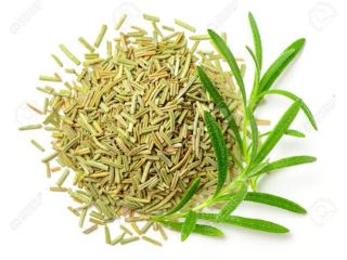 Ugaherbs Hierbas de romero (de hoja perenne) aquí en