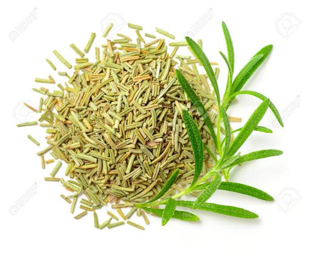 Ugaherbs Hierbas de romero (de hoja perenne) aquí en Uganda Sembabule District, Kikoma sub-condado Lwensu Village, Rosemary se cultiva en un terreno de 185