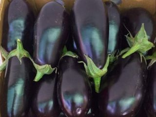Vendo berenjena aragonesa