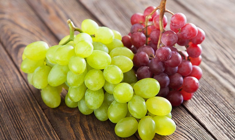 uva roja globo rojo Exportador de frutas frescas de uva de Yunnan Amablemente WhatsApp para más detalles