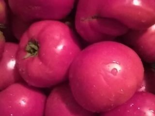 Vendo tomates de jardín cultivados de forma natural. Consumo