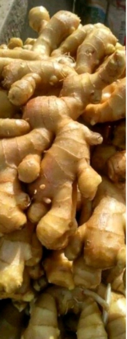 El mejor jengibre orgánico cultivado localmente en Uganda sin utilizar productos químicos