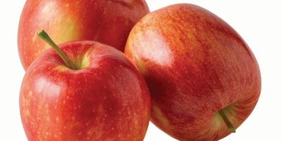 Vendemos manzanas frescas de alta calidad