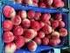 Somos una empresa que se enfoca en comercializar y exportar los mejores productos que México tiene para ofrecer